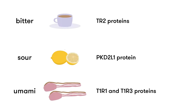 Ultimate Guide to Making Your Signature Seasoning Blend