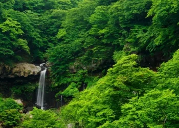 Green Living in the Heart of Heritage: Eco-vision of the Emerald of Katong