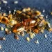 How to Prevent Bed Bugs from Getting in Your Car?
