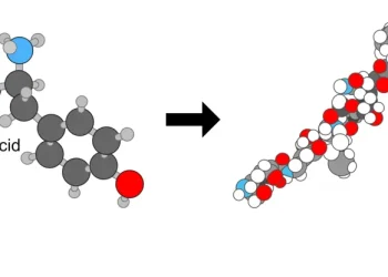 What Are Peptides and How Do They Work?