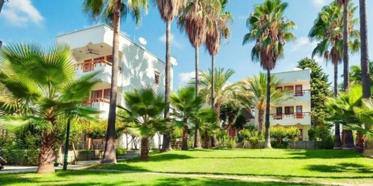 The Hidden Dangers of Leaving a Partially Fallen Tree Untouched