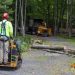 Proactive Tree Care: Protect Your Property and Prevent Costly Damage