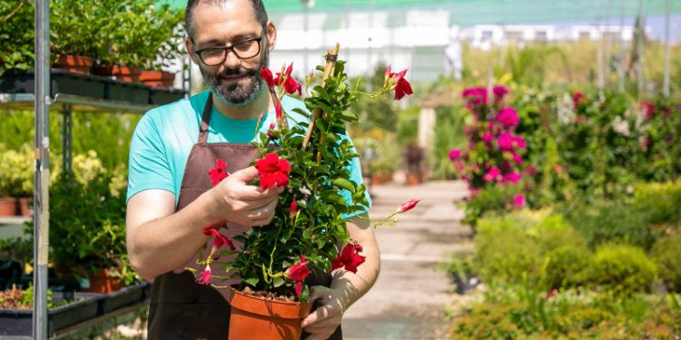 Can Smart Technology Make You a Better Gardener?