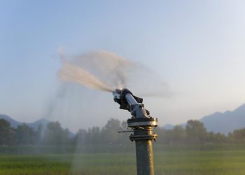 3 Automated Irrigation System Providers for Greenhouse Growers
