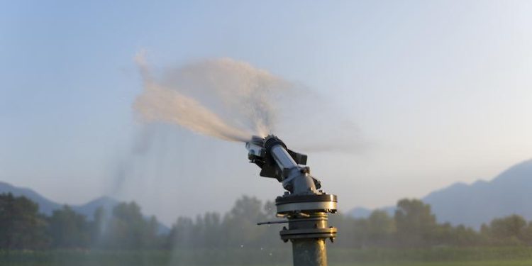 3 Automated Irrigation System Providers for Greenhouse Growers