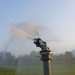 3 Automated Irrigation System Providers for Greenhouse Growers